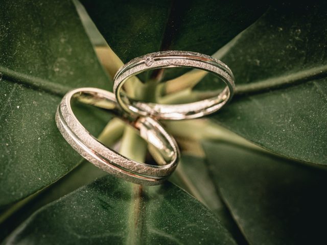 0098_VIW_7743-scaled