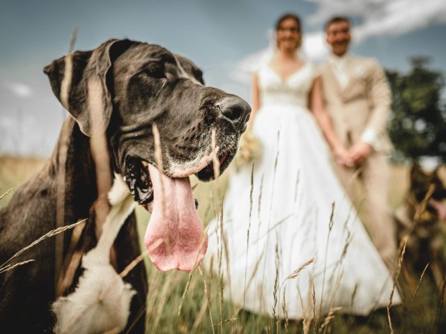 0254_VIW_2589-scaled