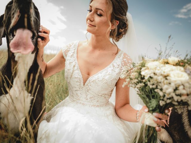 0259_VIW_2595-scaled