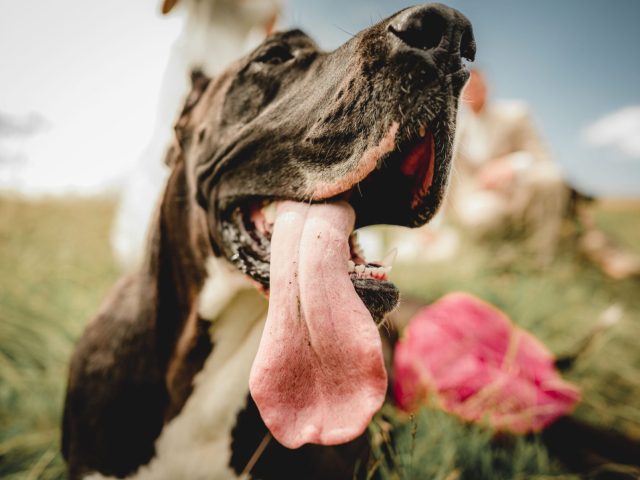 0270_VIW_2616-scaled