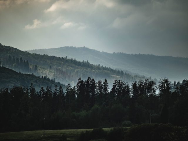 Mlhavé zalesnené kopce pod zamračenou oblohou s tmavými siluetami stromov v popredí a vrstvami hrebeňov pokrytých stromami, ktoré sa strácajú v diaľke.